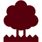 桜のこもれびキッズランド：各園の紹介をするページリンク