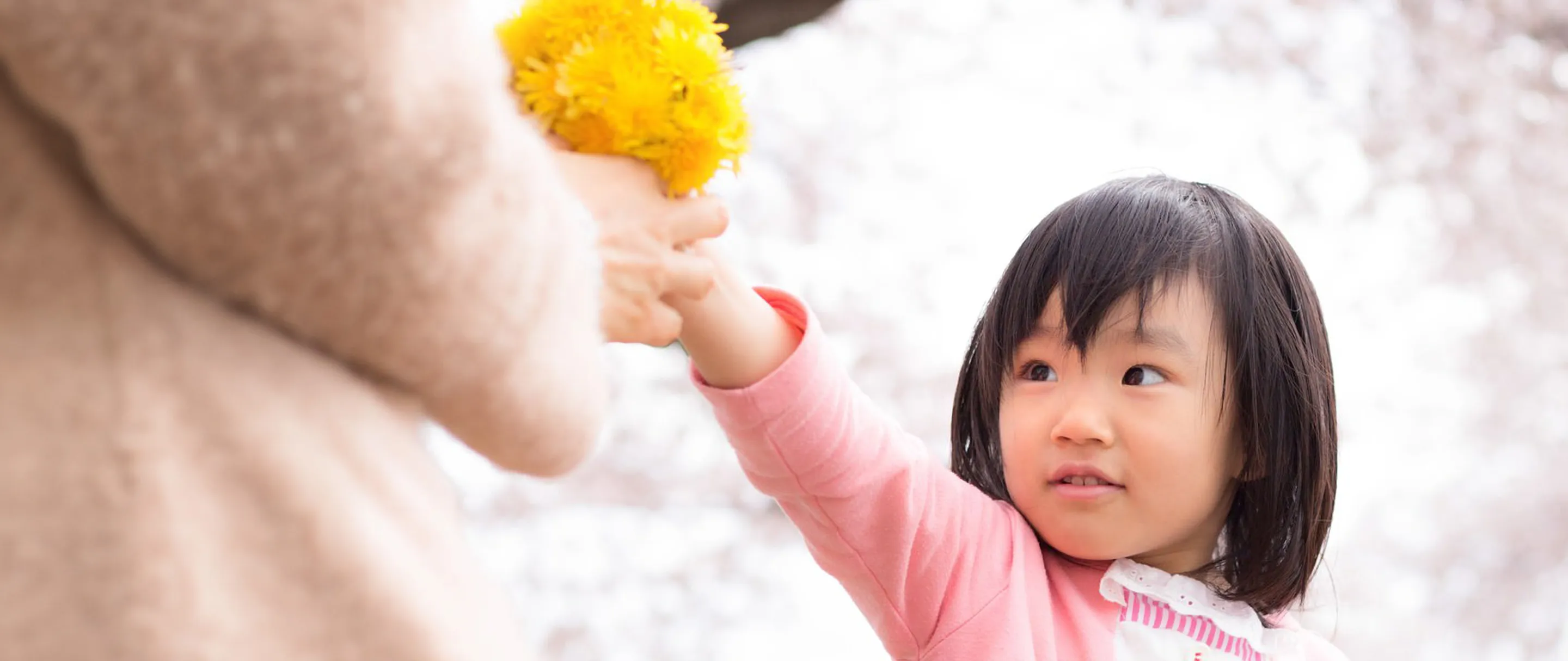 桜のこもれびキッズランド：3がつイメージ画像
