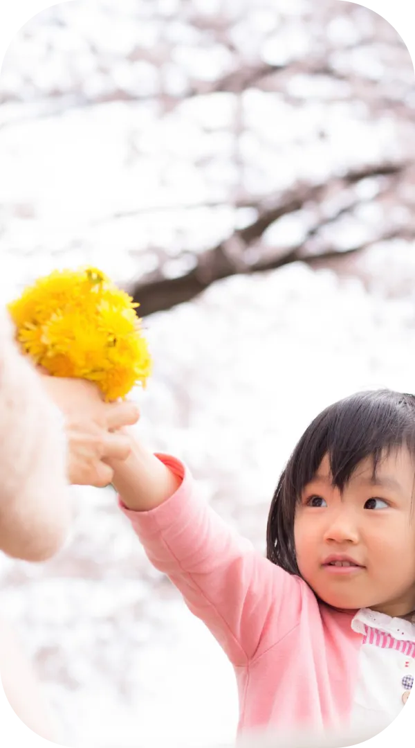 ファーストビューの画像